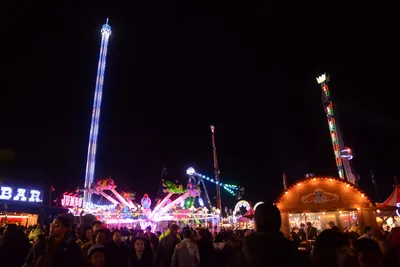 DSC_6118 (Large).JPG